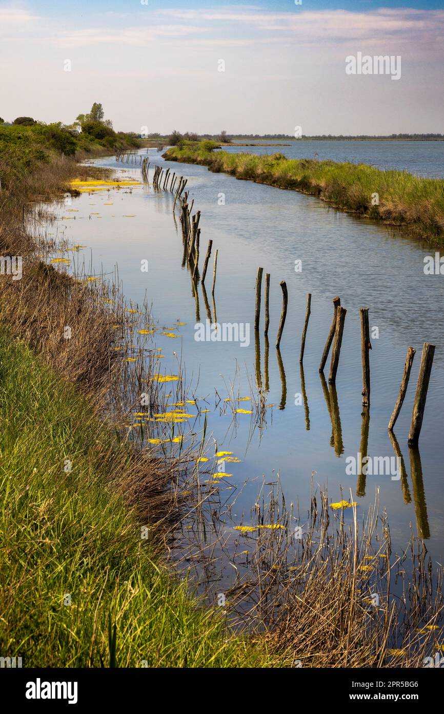 Po Delta Park dans le nord de l'Italie, détail de la rivière Banque D'Images