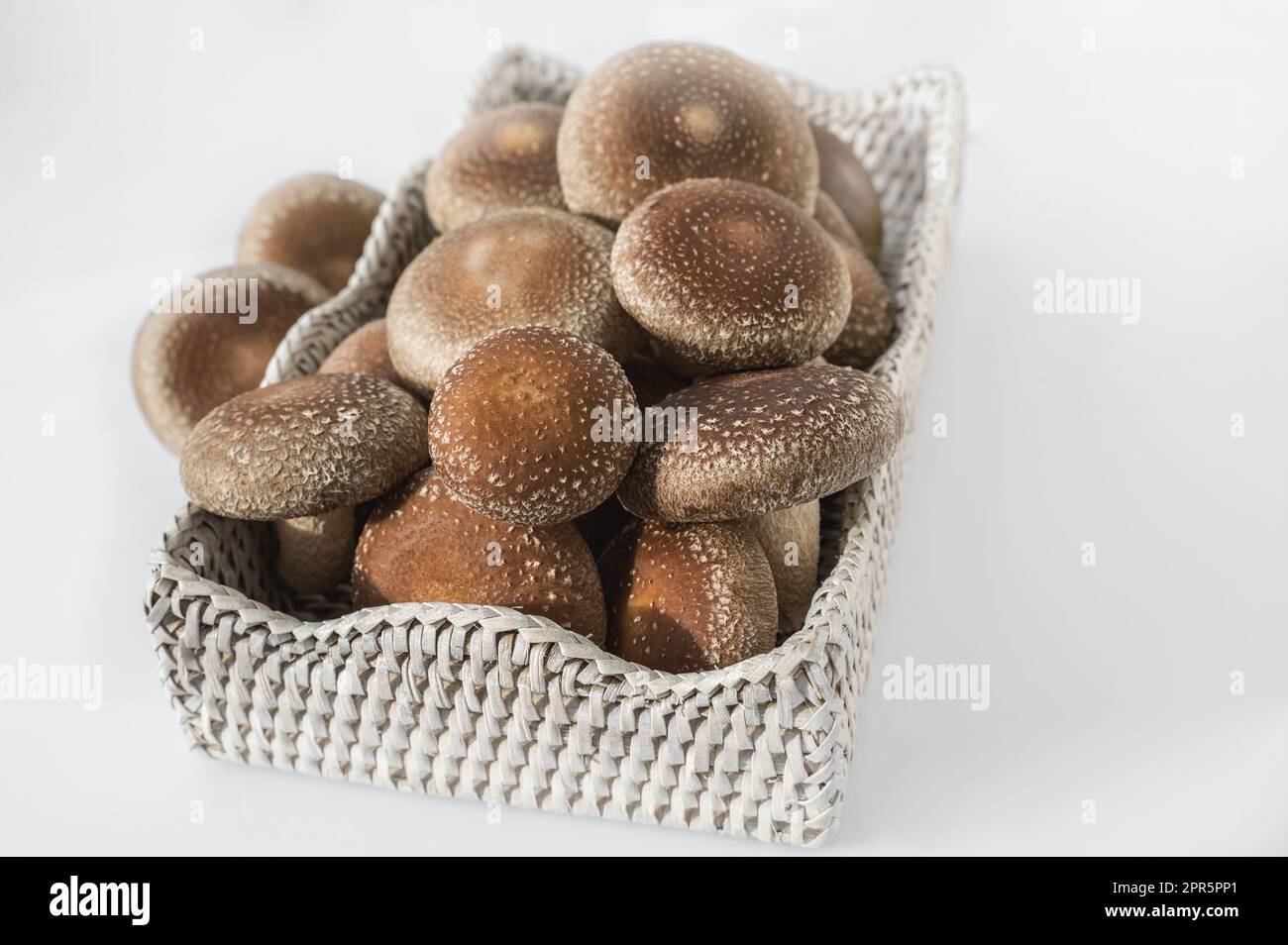 Champignons shiitake bio dans le panier et sur la pierre. Banque D'Images