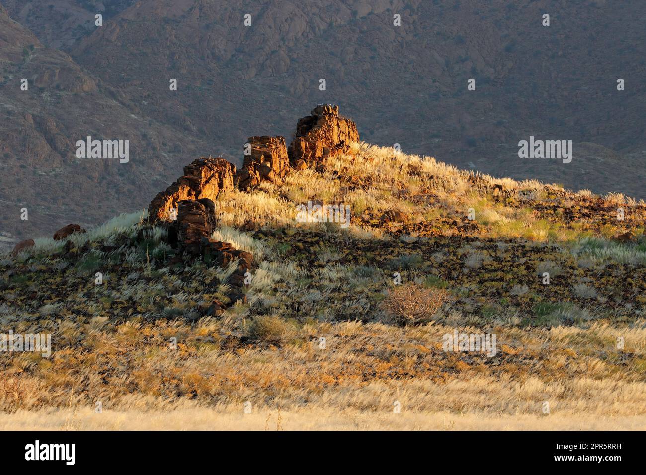 Paysage désertique pittoresque - montagne de Brandberg Banque D'Images