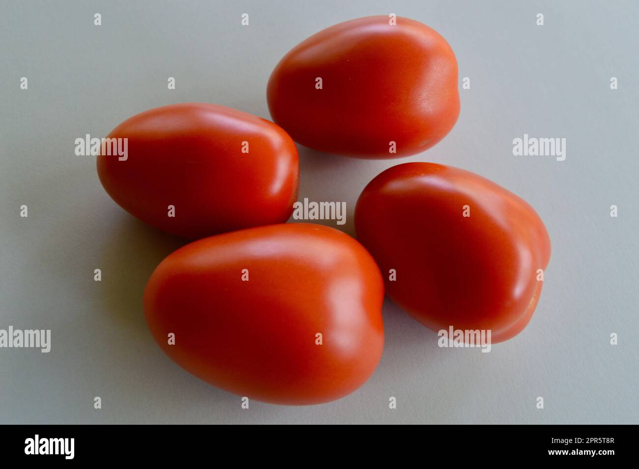 Tomates Roma sur un fond simple Banque D'Images