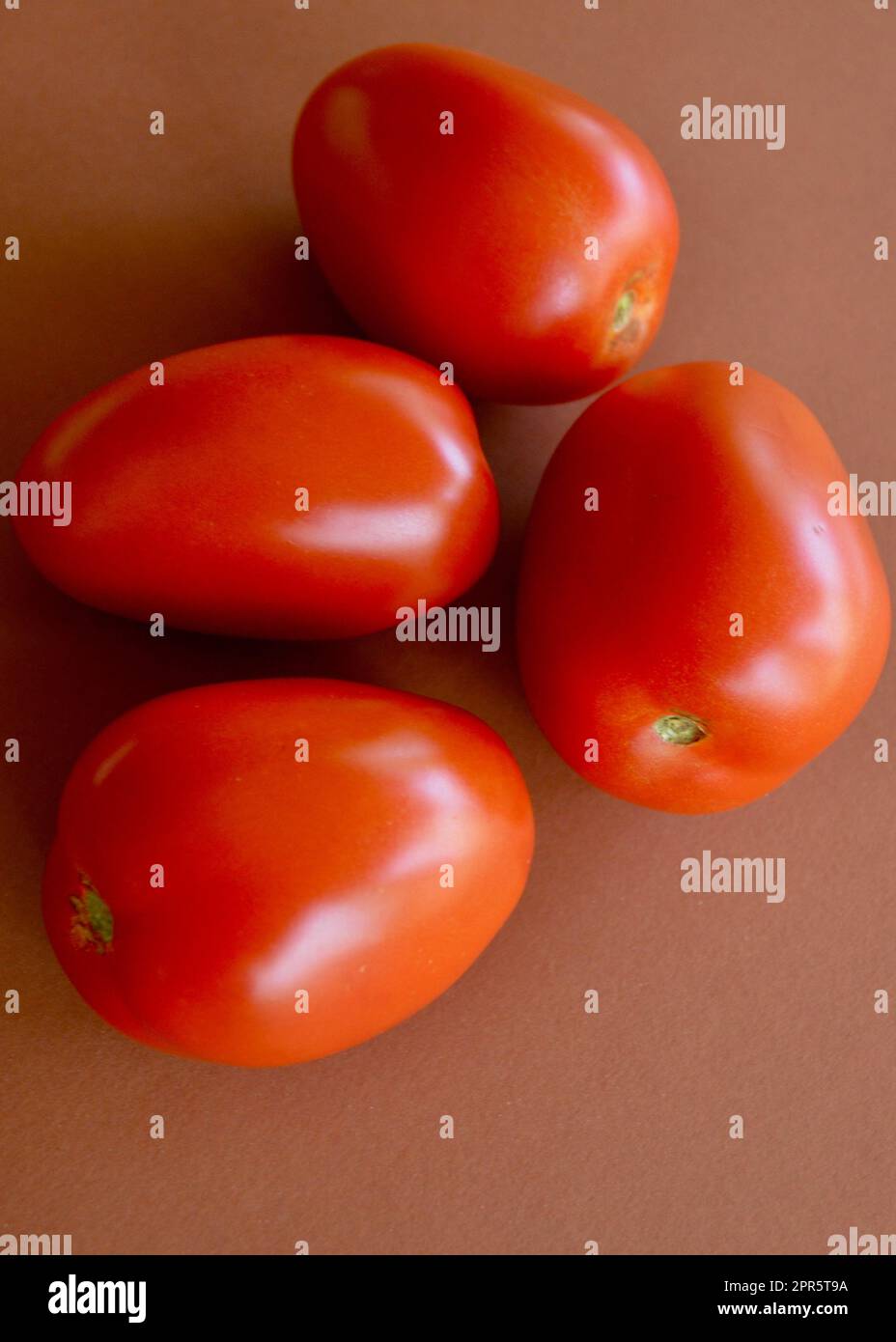 Tomates Roma sur un fond simple Banque D'Images