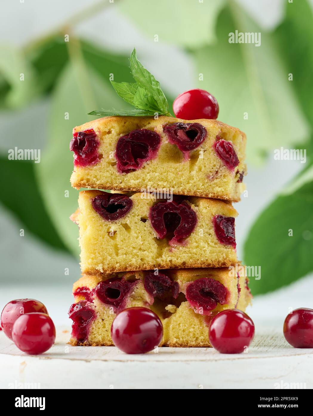Morceaux de gâteau de Savoie cuits avec des cerises mûres rouges sur un panneau de bois blanc Banque D'Images
