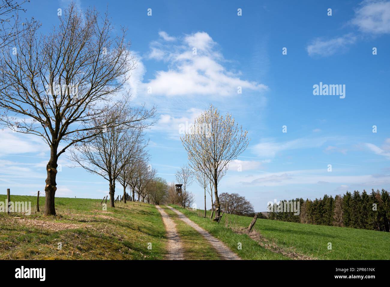 Deerstand, Bergisches Land, Allemagne Banque D'Images