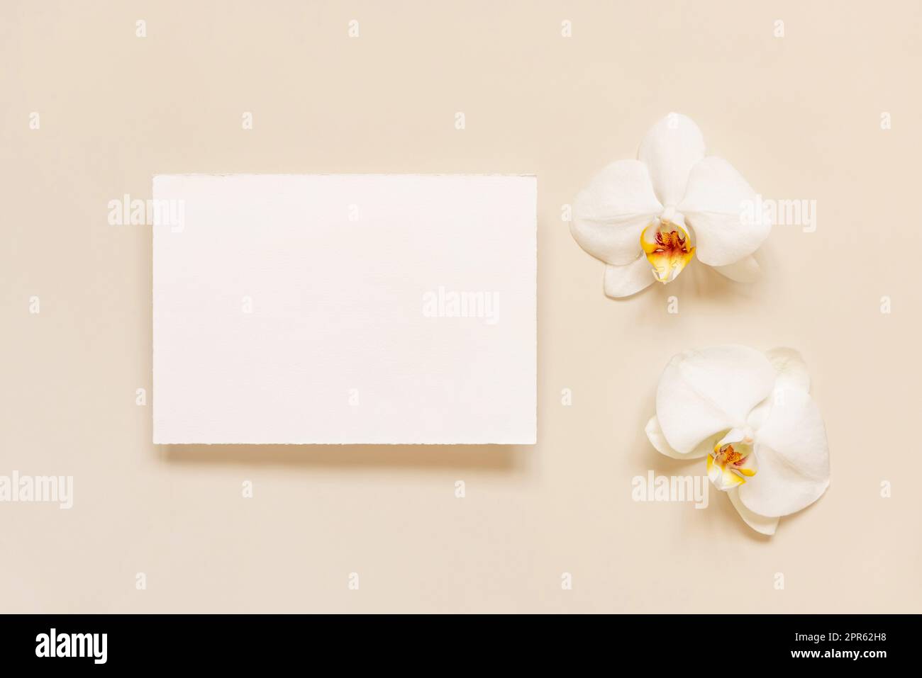 Carte de mariage près des fleurs d'orchidées blanches sur jaune clair, maquette Banque D'Images