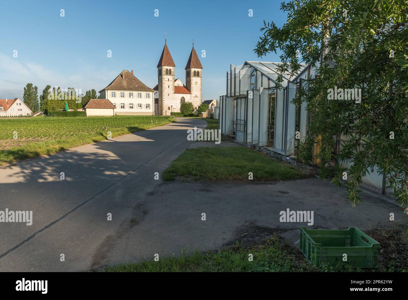 Eglise Saint-Pierre et Paul et serres sur l'île de Reichenau, Bade-Wurtemberg, Allemagne Banque D'Images