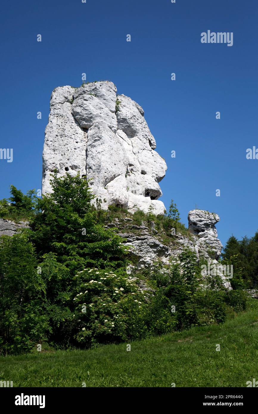 Ours - un rocher près du château d'Ogrodzieniec Banque D'Images