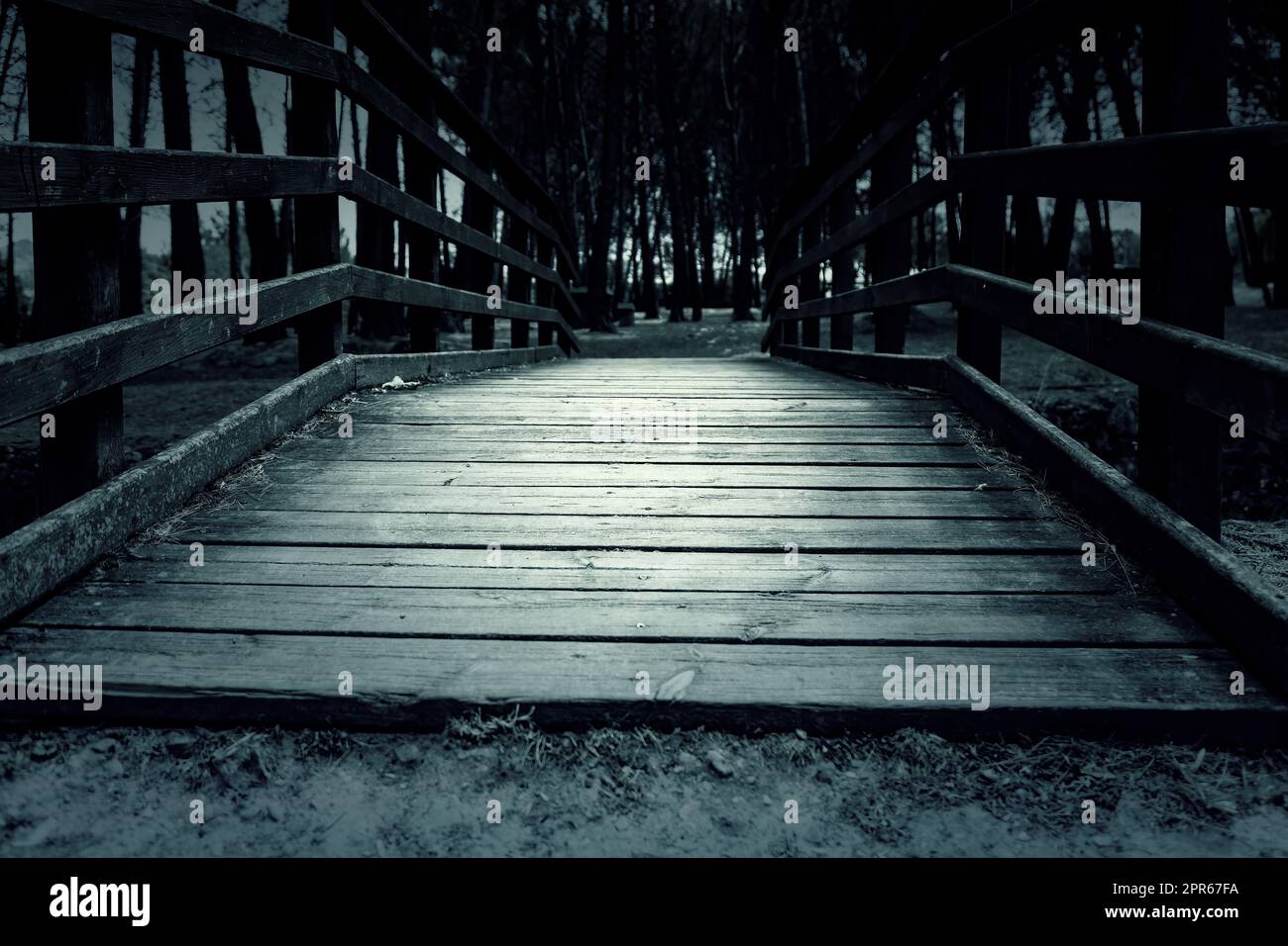 Pont en bois dans un étang Banque D'Images