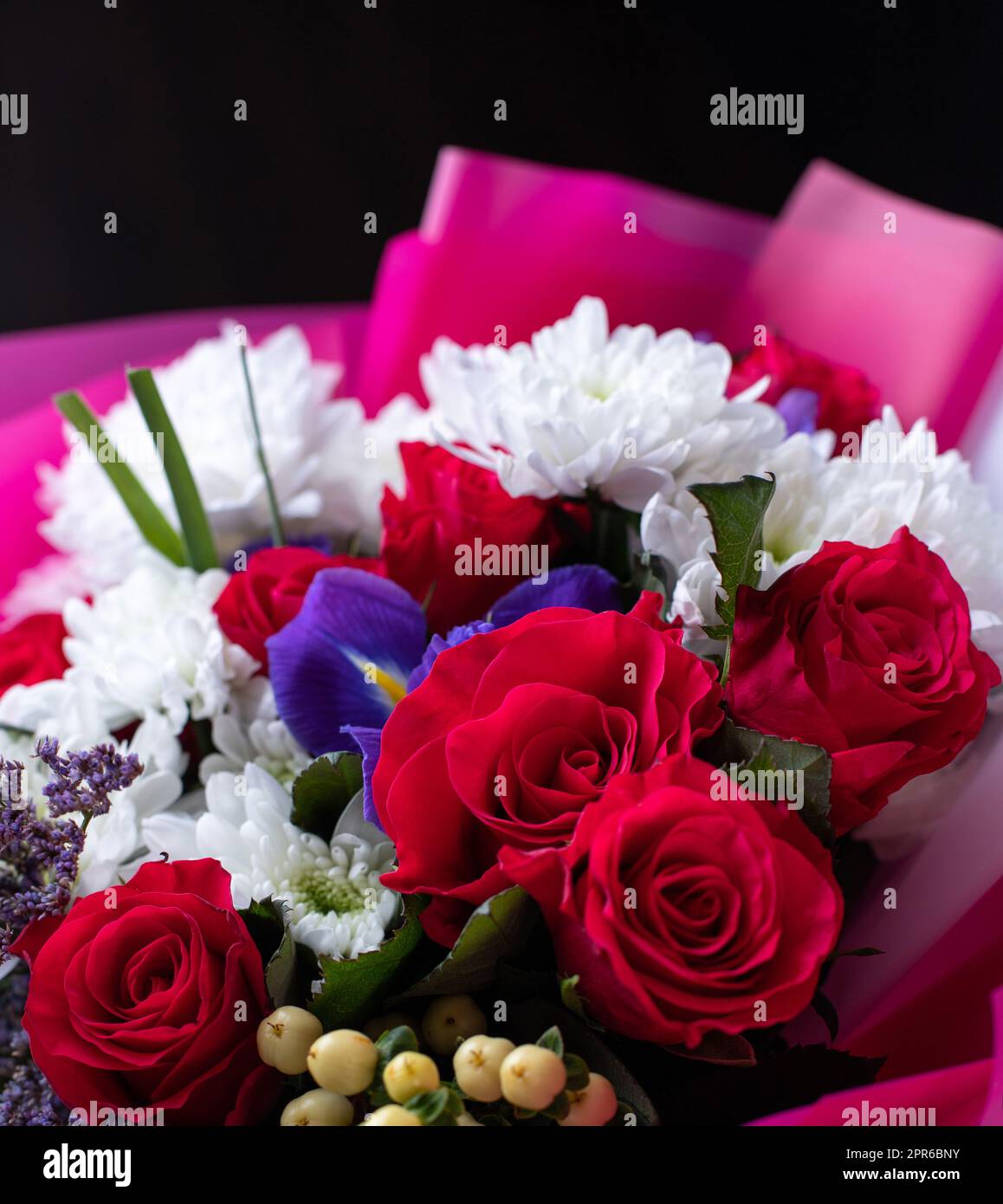 Gros plan d'un arrangement floral de couleur vive composé de différentes fleurs. Banque D'Images