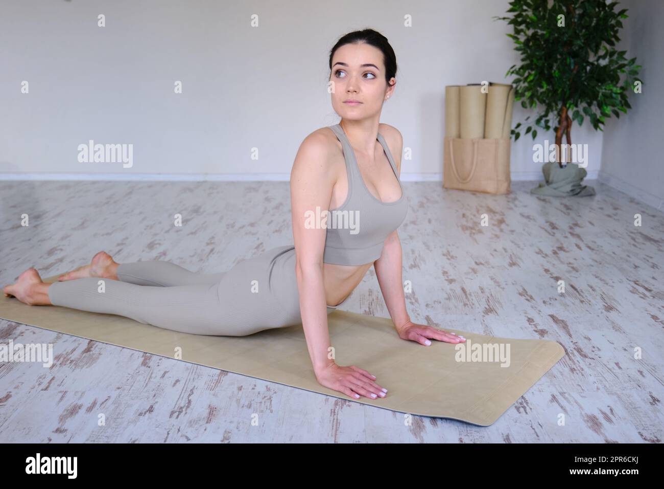 Jeune belle femme faisant du yoga en studio, debout dans une posture de chien. Banque D'Images