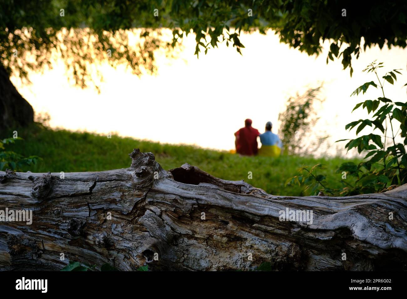 Heureux couple senior assis en été près du lac pendant le coucher du soleil Banque D'Images
