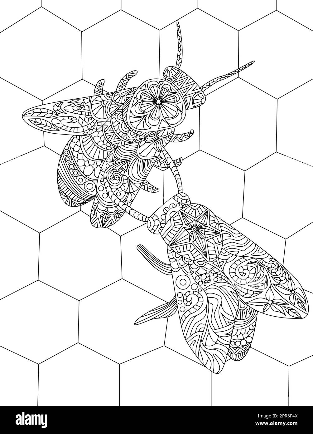 Deux abeilles sur Une ruche récolte miel incolore dessin de ligne. Banque D'Images