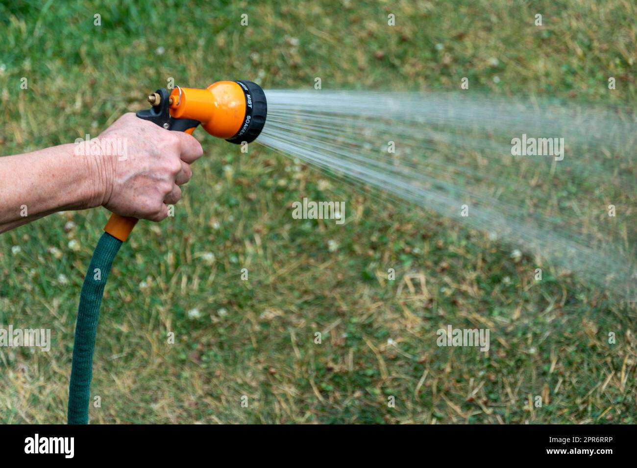 Arrosage de l'herbe à l'aide d'un tuyau d'eau douce et d'un arroseur Photo  Stock - Alamy