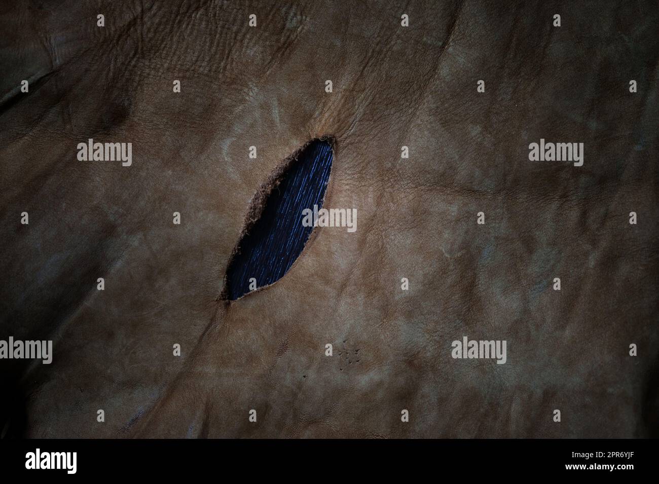 Véritable Cuir texture background Banque D'Images