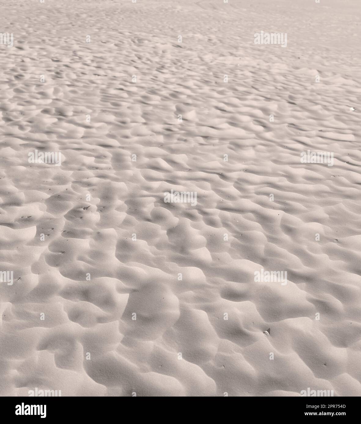 Plage de sable des dunes du désert avec des ondulations le long de la côte dans la nature par une journée ensoleillée. Gros plan d'un paysage pittoresque sur le bord de mer avec recopie arrière-plan en plein air. Un endroit calme pour se sentir zen Banque D'Images
