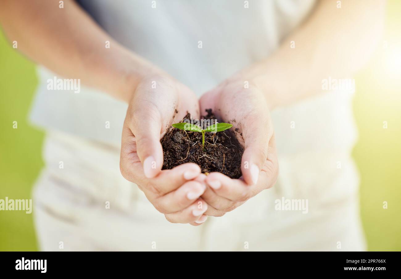 Sa croissance. Plan de culture d'un homme tenant une plante qui pousse hors du sol. Banque D'Images