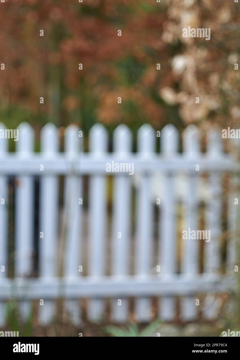 Une clôture classique blanche entourée de plantes verdoyantes et d'arbres. Barricade floue à l'extérieur d'une maison dans l'arrière-cour près du jardin. Barrière d'une maison à la flore vibrante pendant une journée d'été Banque D'Images