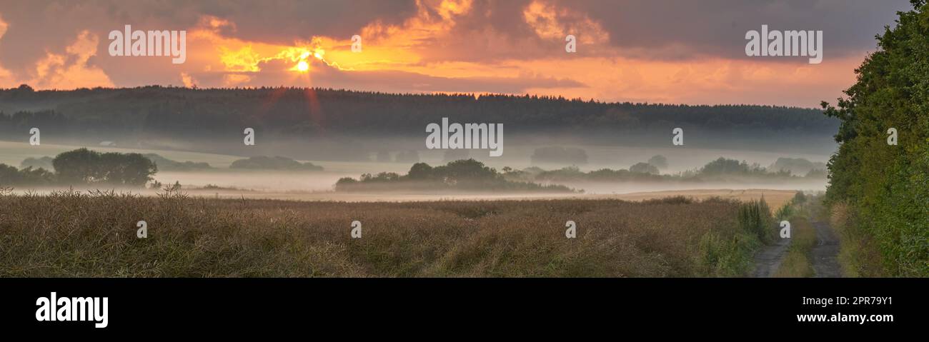 Vue en paysage du brouillard sur un champ distant avec espace de copie au coucher du soleil. Brume couvrant une vaste étendue de campagne pré en Allemagne à l'aube. Fumée provenant d'un feu de forêt ou d'un feu de brousse qui roule au-dessus de la réserve naturelle Banque D'Images