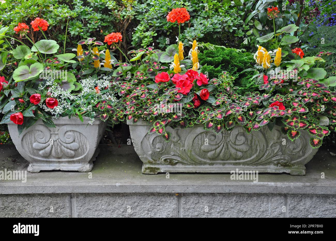 Jardinières de fleurs en pierre Banque D'Images