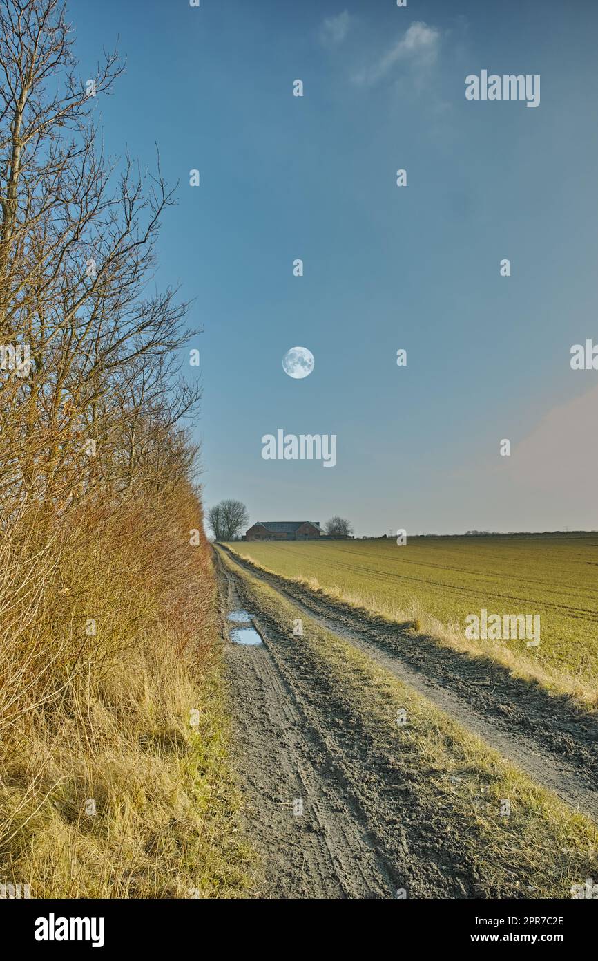 Vue sur une route de terre dans la campagne humide près d'un champ de blé au printemps au Danemark. Chemin de disparition avec des ornières profondes et des flaques dans le pré après la pluie contre un ciel bleu avec fond de pleine lune Banque D'Images