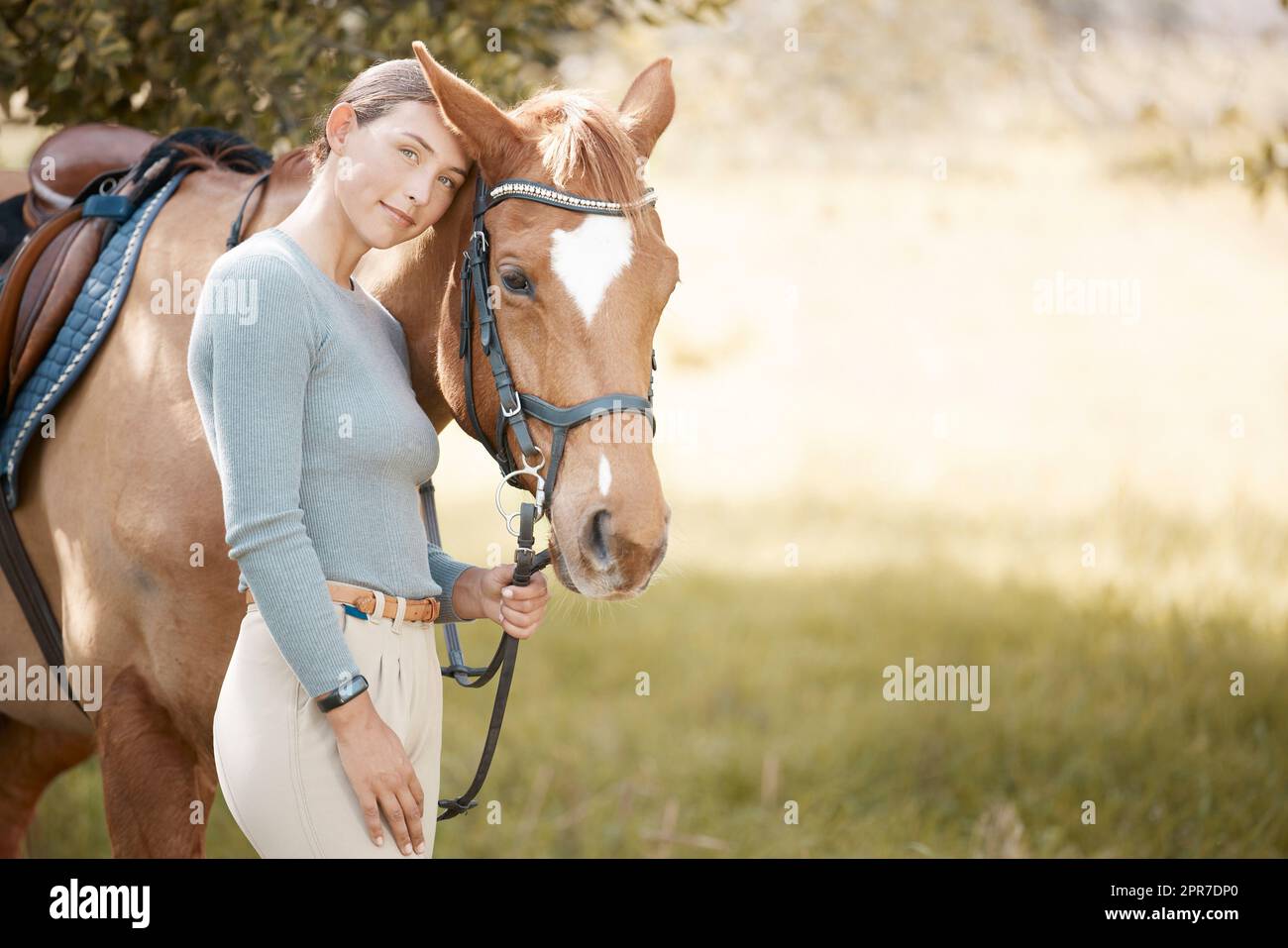 Un cheval est un bel animal. Une jeune femme attrayante debout avec son cheval dans une forêt. Banque D'Images