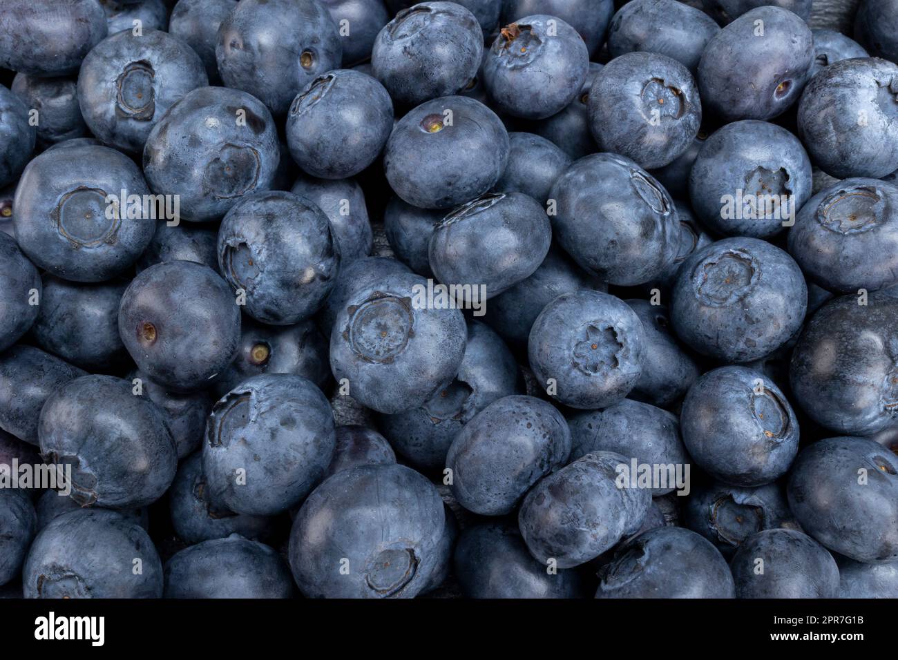 Fruits d'été aux myrtilles fraîches pour un concept sain de nourriture et de vie Banque D'Images