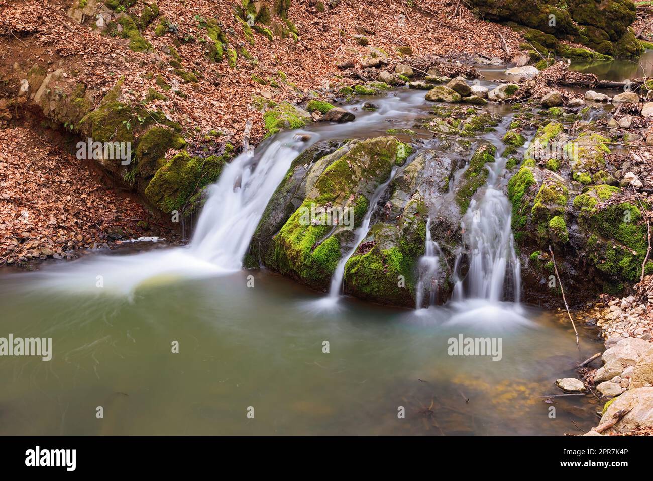 Belle cascade profondément dans les bois des montagnes Apuseni; belle gorge de Borzesti, une zone naturelle en Transylvanie Banque D'Images