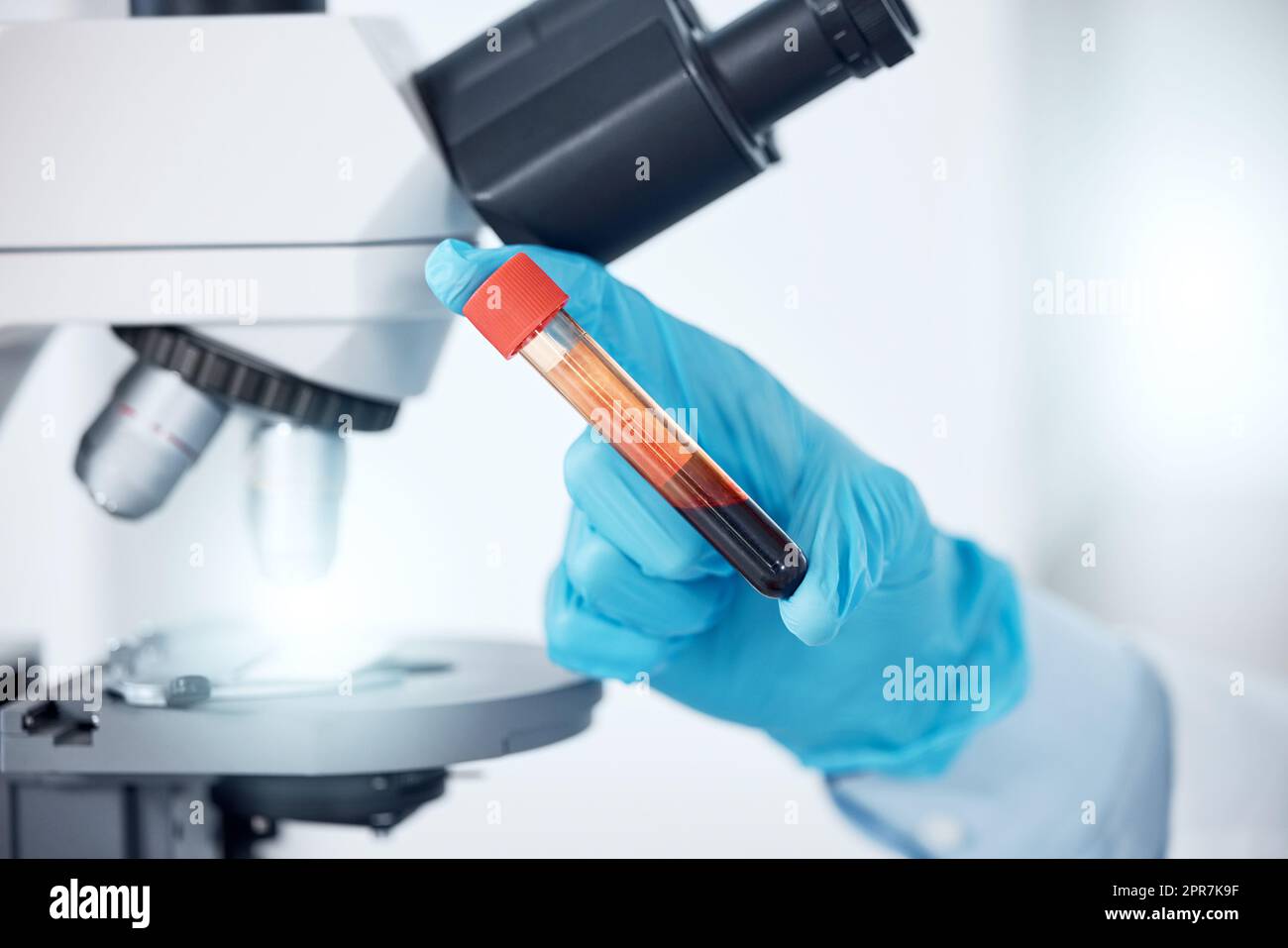 Gros plan de la main d'un scientifique mâle tenant un échantillon de sang dans un petit tube à essai en verre pour la recherche en milieu hospitalier. Professionnel de la santé analysant un flacon dans un laboratoire en portant des gants de protection Banque D'Images
