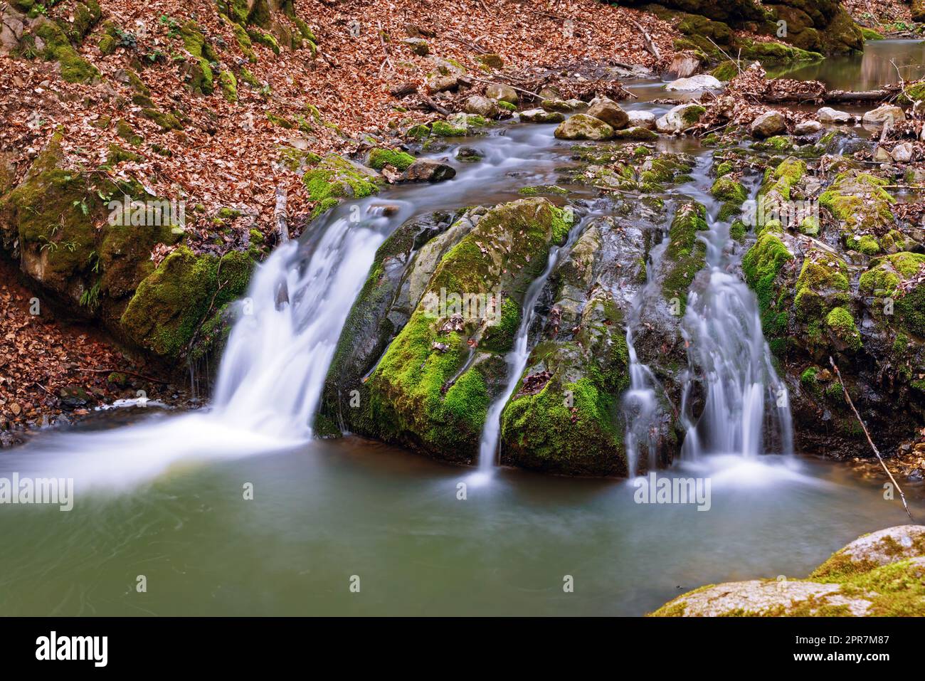 Cascade profondément dans les bois des montagnes Apuseni; belle gorge de Borzesti, une zone naturelle en Transylvanie Banque D'Images