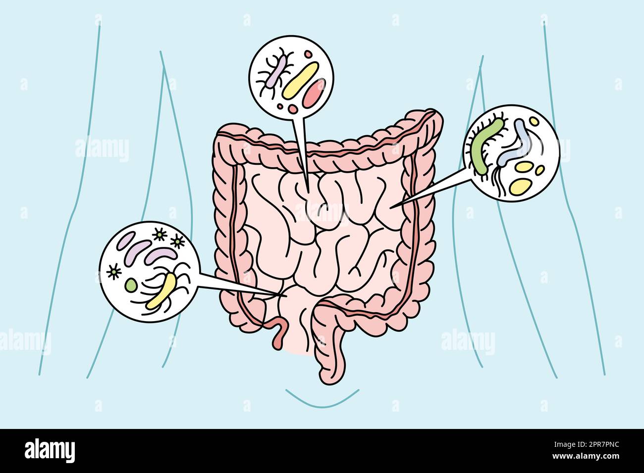 Tube digestif avec bactéries à l'intérieur. Personne digestion organes intestins avec le virus. Soins de santé et intestin. Illustration vectorielle. Banque D'Images