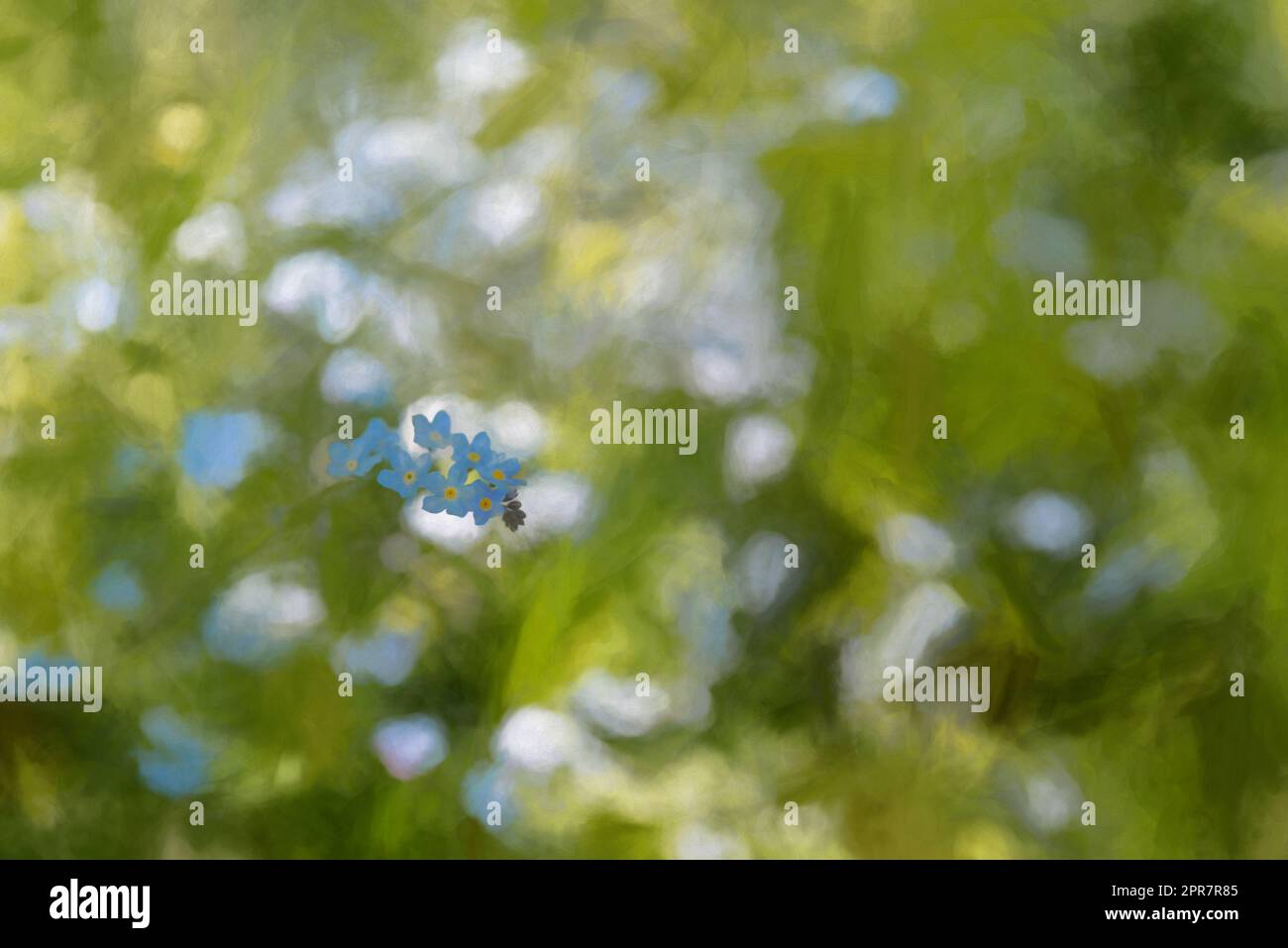Peinture numérique de fleurs bleu illuminées de couleurs vives Forget-me-Not sur un fond boisé vert naturel, en utilisant une faible profondeur de champ. Banque D'Images