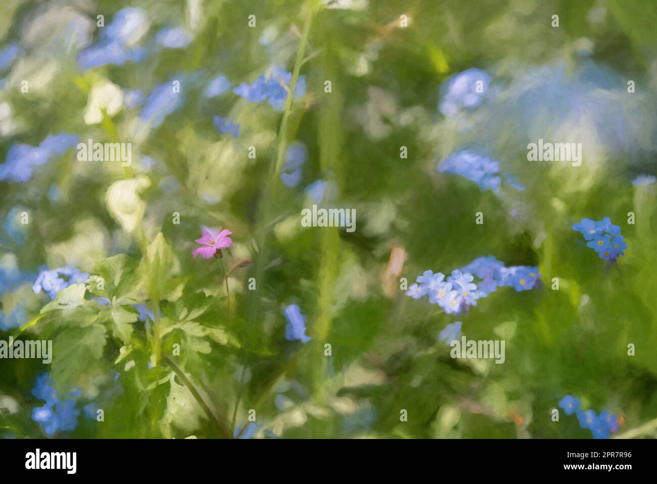Peinture numérique de fleurs bleu illuminées de couleurs vives Forget-me-Not sur un fond boisé vert naturel, en utilisant une faible profondeur de champ. Banque D'Images