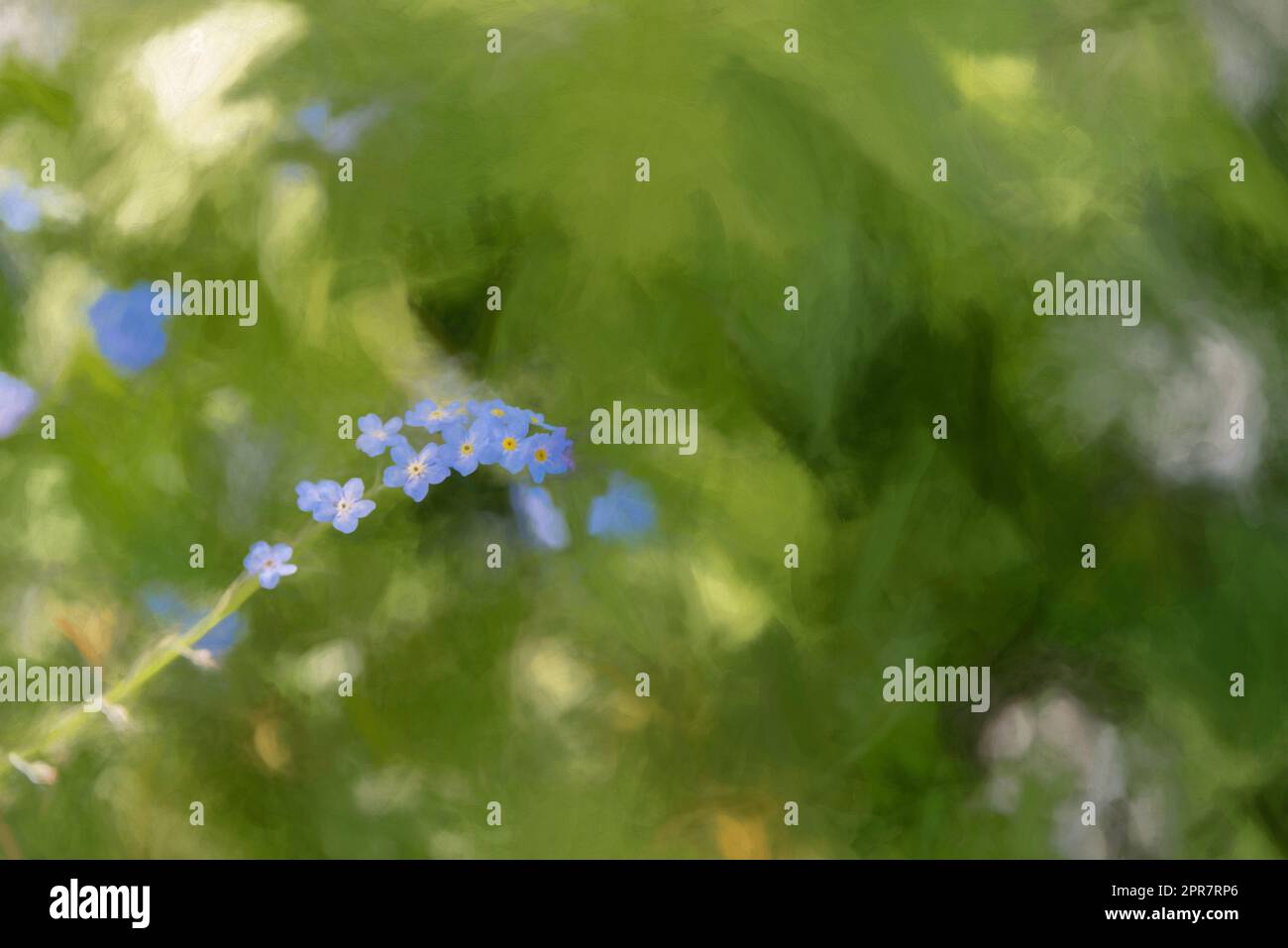 Peinture numérique de fleurs bleu illuminées de couleurs vives Forget-me-Not sur un fond boisé vert naturel, en utilisant une faible profondeur de champ. Banque D'Images