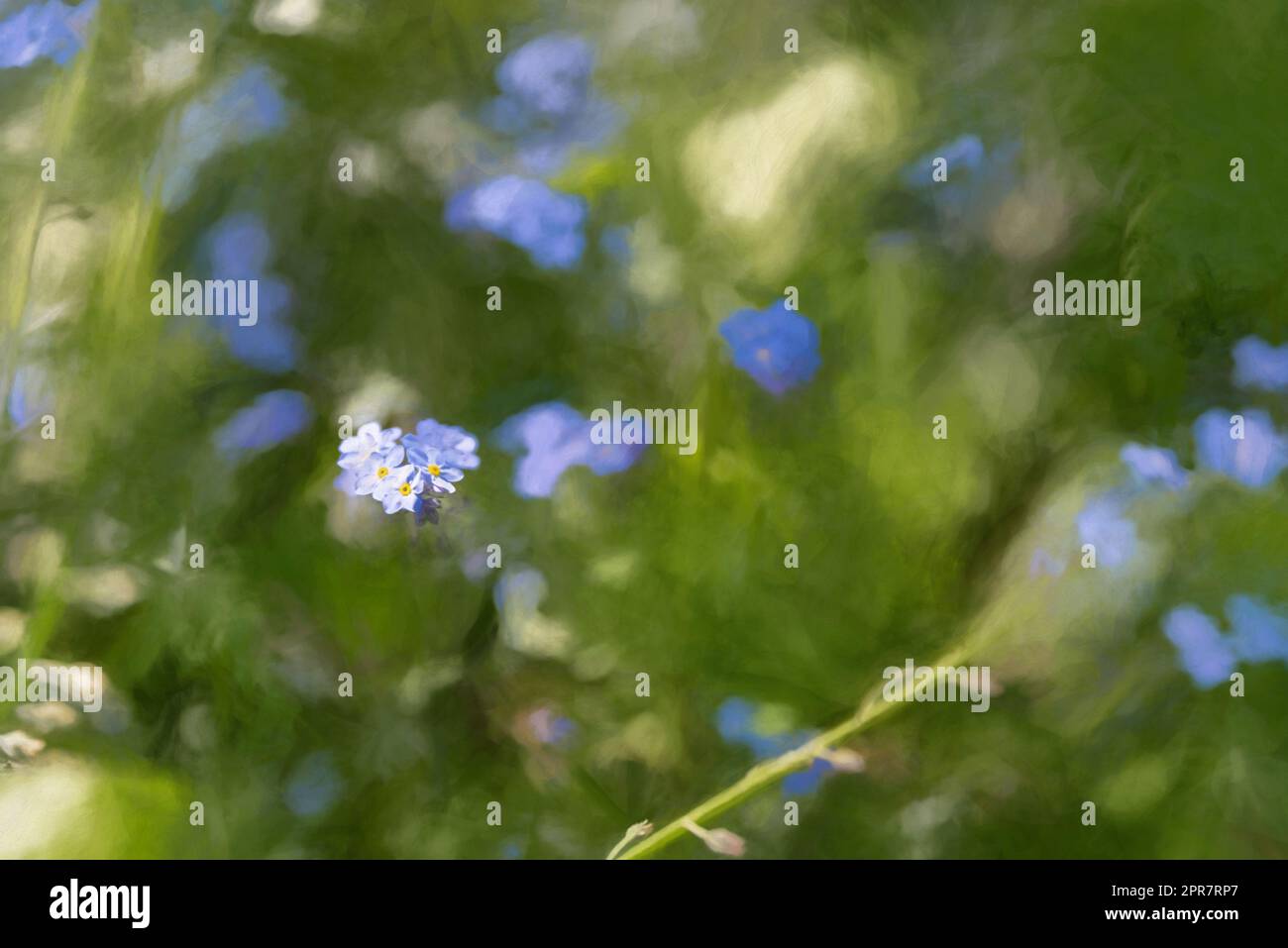 Peinture numérique de fleurs bleu illuminées de couleurs vives Forget-me-Not sur un fond boisé vert naturel, en utilisant une faible profondeur de champ. Banque D'Images