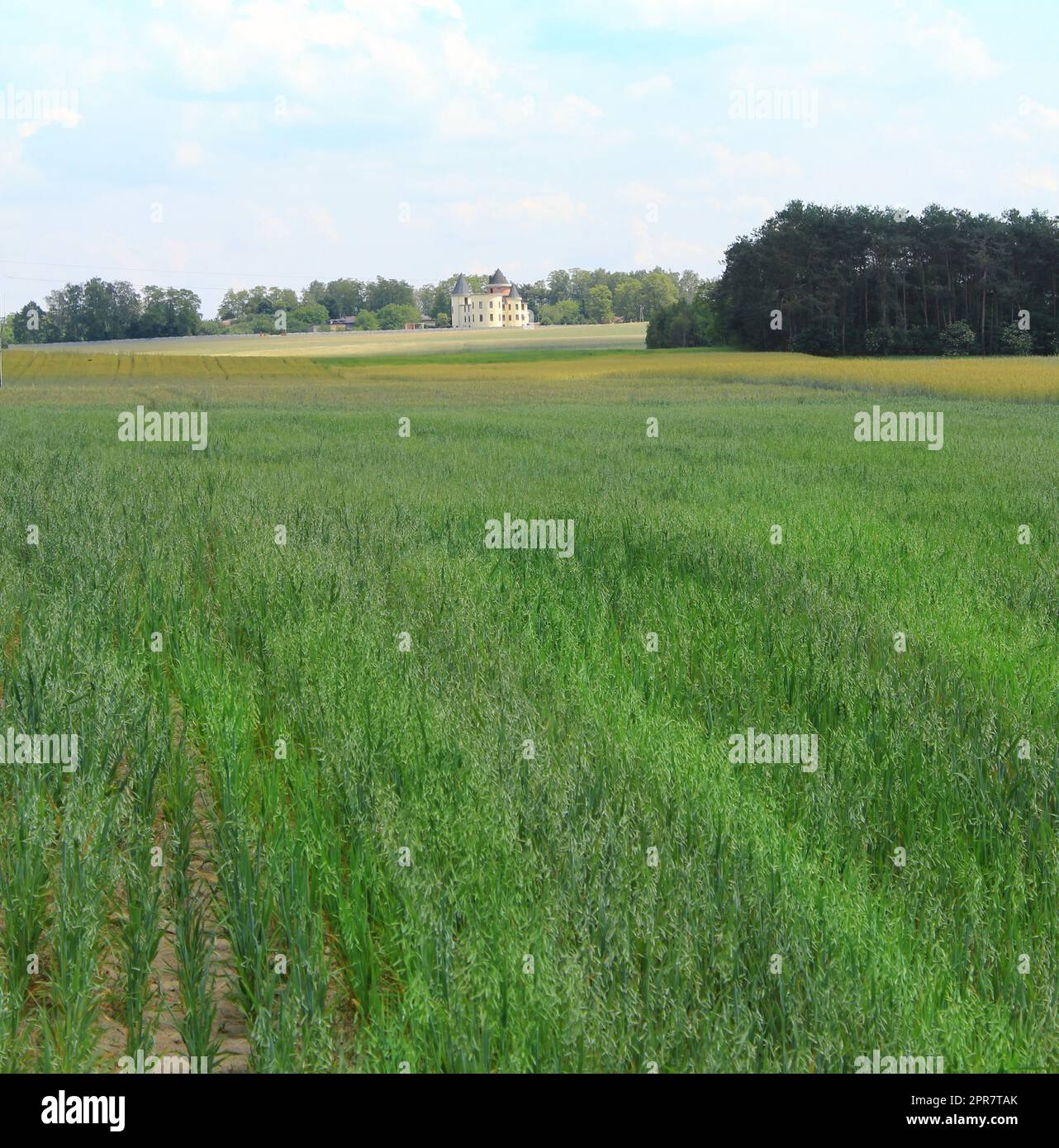 Terrain agricole avec une maison dans l'arrière-plan Banque D'Images