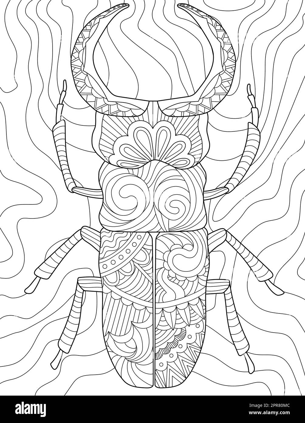 Page de livre de coloriage avec marche avant détaillée de cafard. Banque D'Images