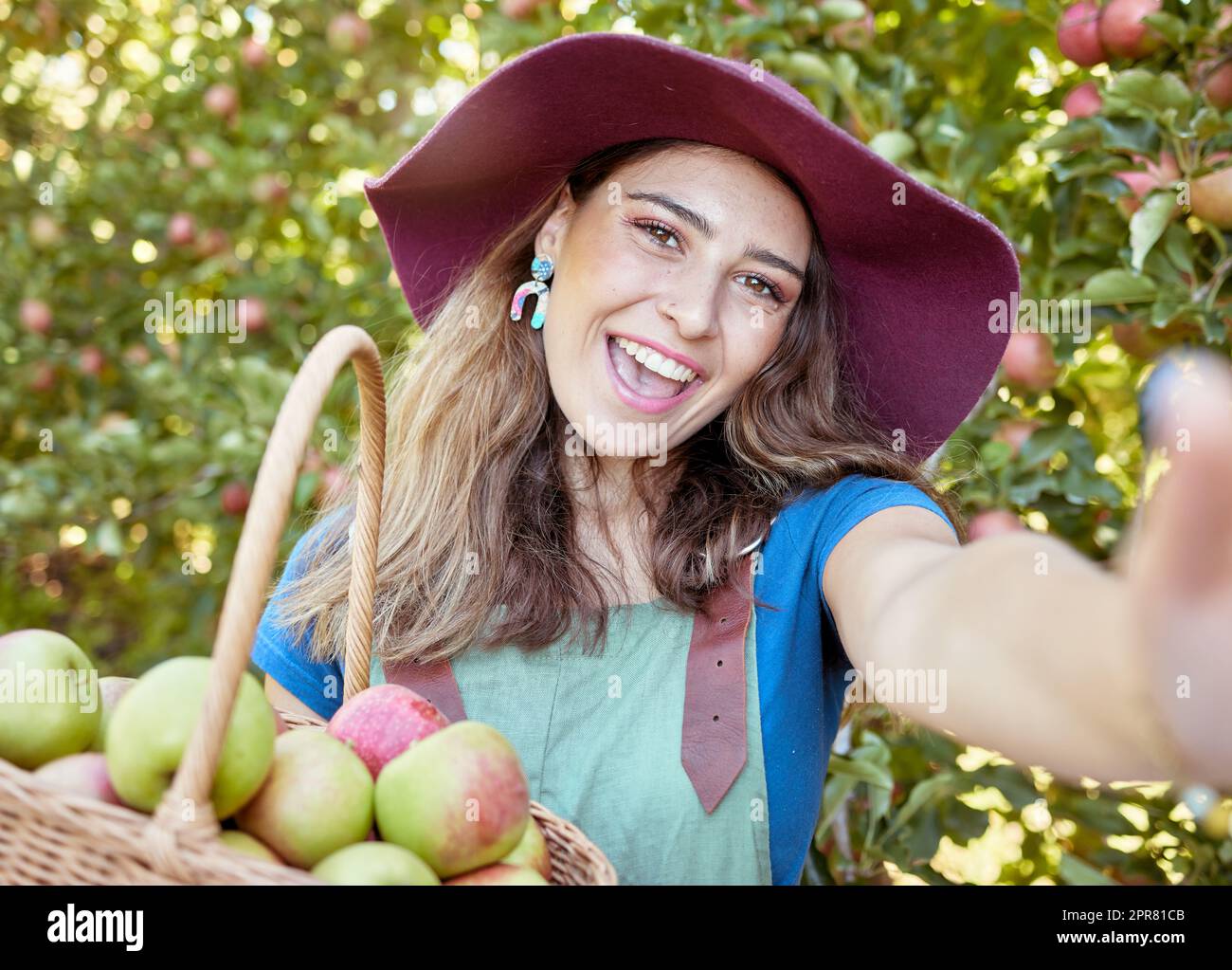 Portrait d'une femme heureuse prenant des selfies tout en tenant un panier de pommes fraîches cueillies sur une ferme de verger durable dehors le jour ensoleillé. Joyeux fermier qui récolte des fruits de saison biologiques juteux à manger Banque D'Images