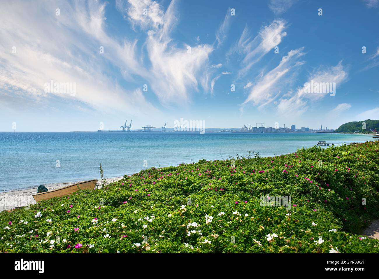 Bord de mer ensoleillé avec plantes sauvages fleuries. Mer calme contre un horizon bleu nuageux avec espace de copie. Végétation luxuriante s'élevant sur des dunes près d'un océan magnifique. Panorama de la nature avec un port en arrière-plan Banque D'Images