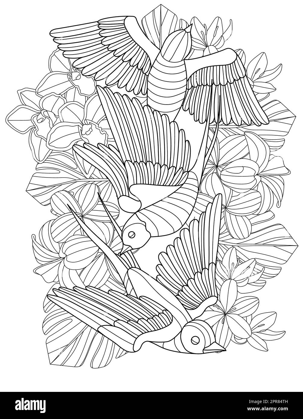 Page de coloriage avec oiseaux volant et différentes fleurs derrière. Banque D'Images