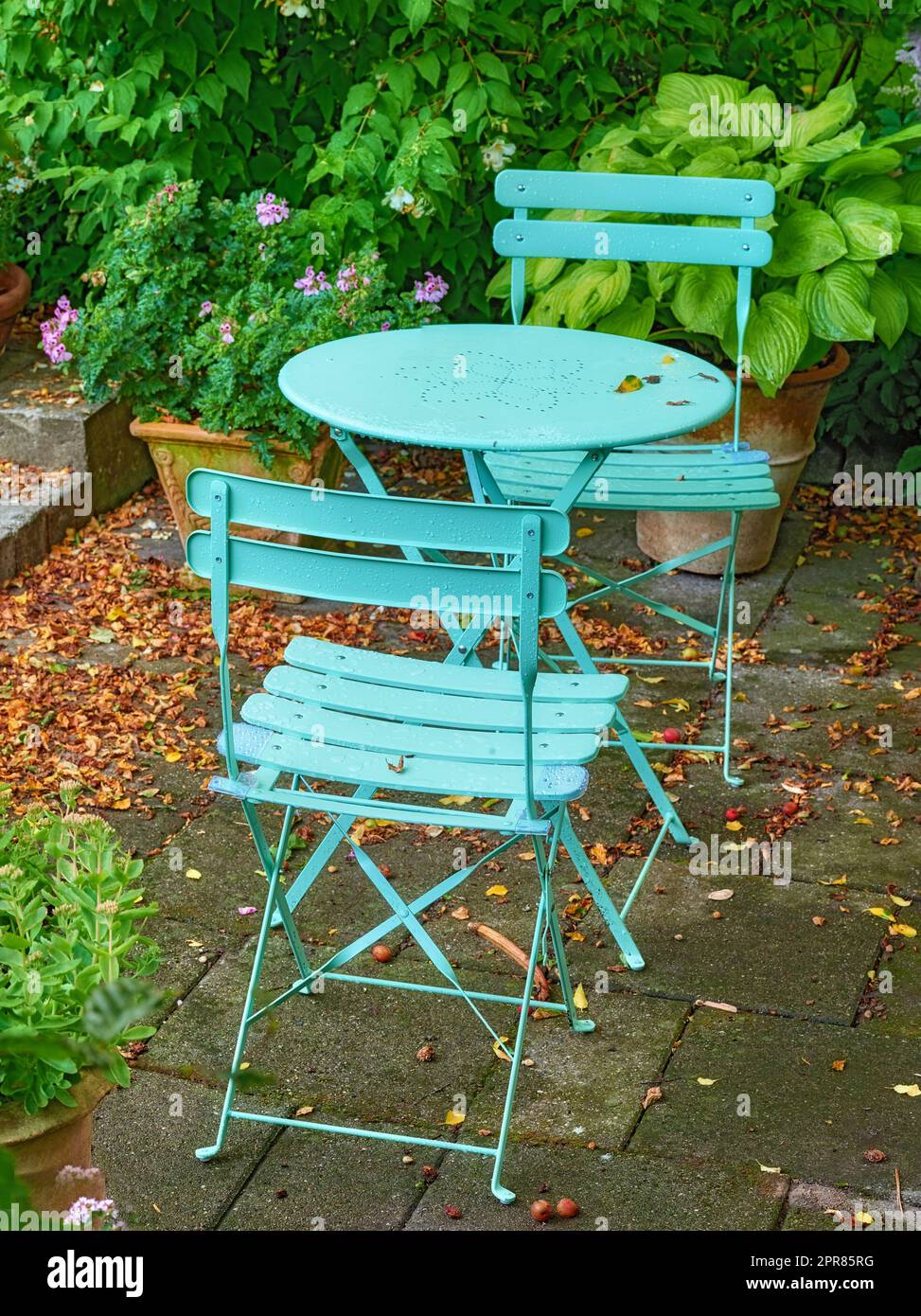 Cour bleue chaises en métal et table dans paisible, paisible, luxuriant, cour privée à la maison le jour de l'été. Mobilier de jardin et sièges dans un jardin vide et tranquille avec fleurs et plantes fraîches Banque D'Images