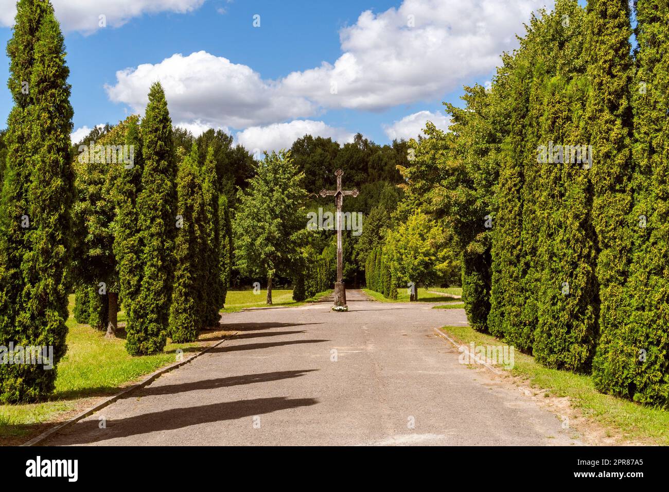 Chemin vers le cimetière avec une croix en bois et des thuyas plantés Banque D'Images