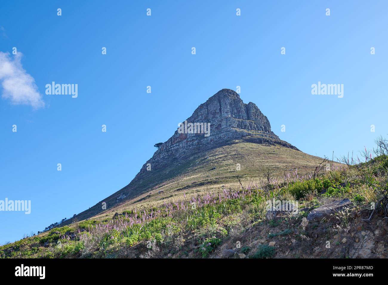 Paysage d'une montagne contre un ciel bleu clair avec espace de copie. Pic de montagne avec un pâturage vert luxuriant et des fleurs florissantes dans un environnement naturel. Lieu touristique populaire en Afrique du Sud Banque D'Images