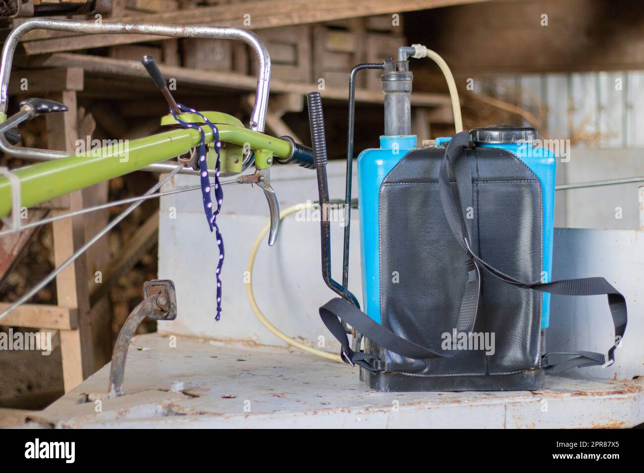 Pulvérisateur de pesticides monté sur l'épaule pour le jardinage et les travaux en cour. Pulvérisateur agricole. Pulvérisateur à batterie à sac pour protéger les arbres et les plantes contre les maladies et les ravageurs. Banque D'Images