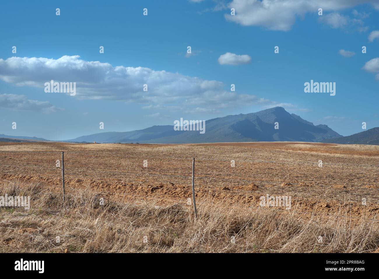 Terres agricoles dans le Cap occidental de l'Afrique du Sud au milieu de la journée avec des montagnes et ciel bleu nuageux en arrière-plan. Terrain extérieur sec par beau temps. Magnifique paysage avec espace de copie. Banque D'Images