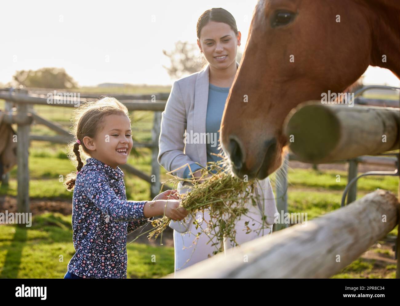 HES un cheval affamé. Une adorable petite fille nourrissant un cheval sur sa ferme pendant que sa mère regarde. Banque D'Images