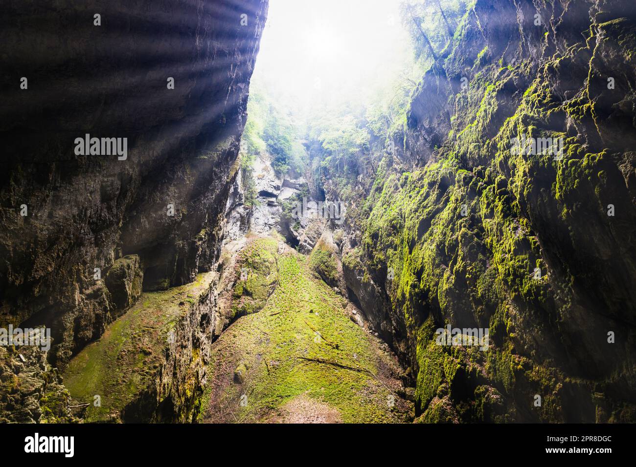 Gorge de Macocha ou abîme de Macocha. Gouffre dans le système de grottes Moravian Karst Punkva Banque D'Images