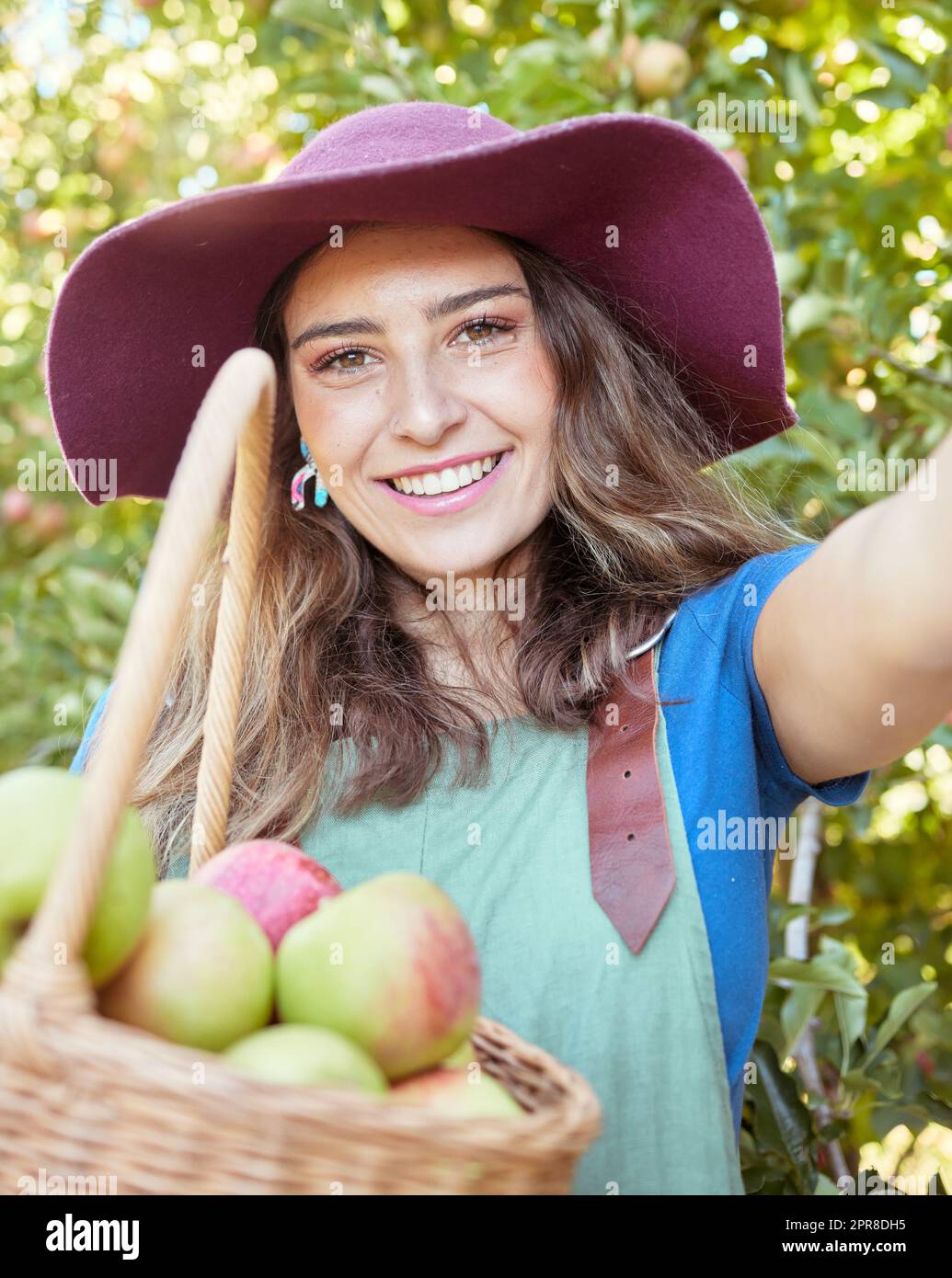 Joyeux fermier moissonnant des fruits biologiques juteux en saison à manger. Portrait d'une femme heureuse prenant des selfies tout en tenant un panier de pommes fraîches cueillies sur une ferme de verger durable dehors le jour ensoleillé Banque D'Images