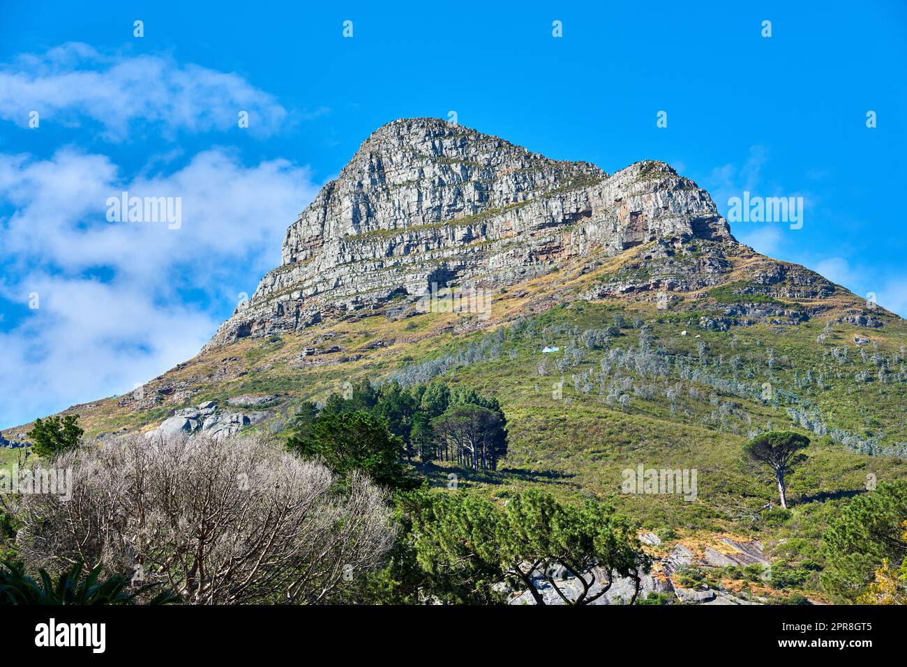 Copiez l'espace avec vue panoramique sur la montagne de Lions Head au Cap, en Afrique du Sud, sur fond bleu ciel. Magnifique vue panoramique d'une destination de voyage célèbre avec des arbres et des plantes luxuriants Banque D'Images