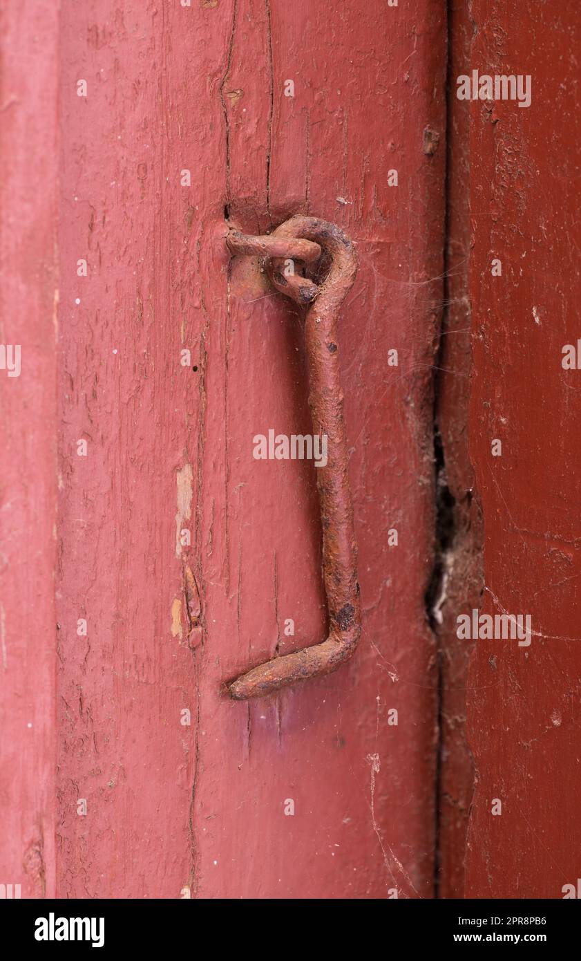 Gros plan de la porte rouge texturée avec un crochet en métal rouillé. Porte et cadre de porte en bois clair vieillis avec des motifs fissurés, des marques de éraflures et du bois ébréché. Vue extérieure de l'entrée de vieux hangar à bois usé Banque D'Images
