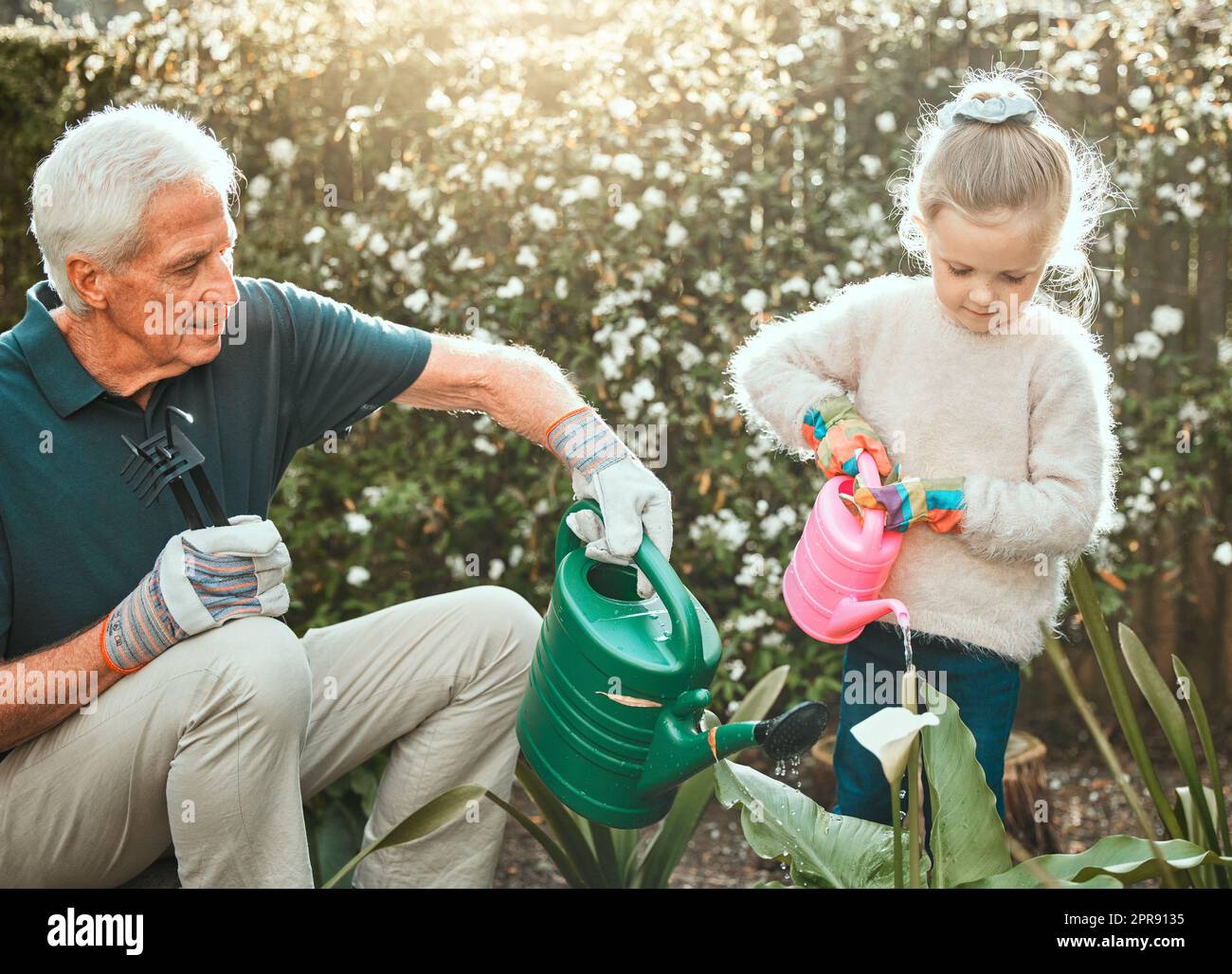 Une société se développe quand les vieux hommes plantent des arbres. Une adorable petite fille jardinant avec son grand-père. Banque D'Images