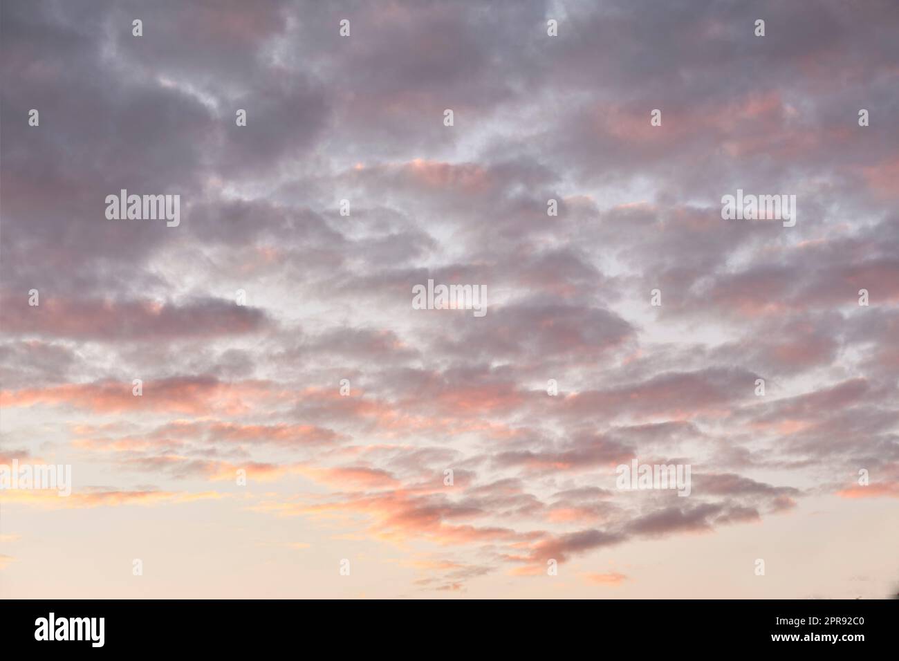 Copier l'espace des nuages d'altocumulus dans un ciel de moody au crépuscule. Panoramique panoramique d'un paysage de nuages et d'un fond orageux au lever ou au coucher du soleil. Climat sombre et sombre à l'aube à l'extérieur Banque D'Images